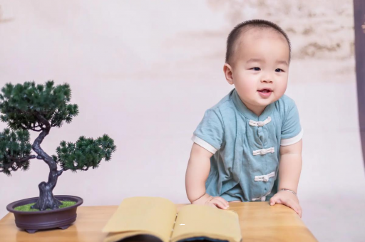 供卵包生男孩公司可爱的企鹅宝宝
